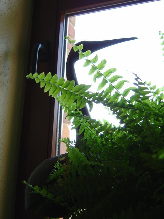 Bed & Breakfast Schlommefurth Bed & Breakfast St. Vith Стая снимка